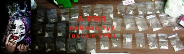 мяу мяу кристалл Богданович