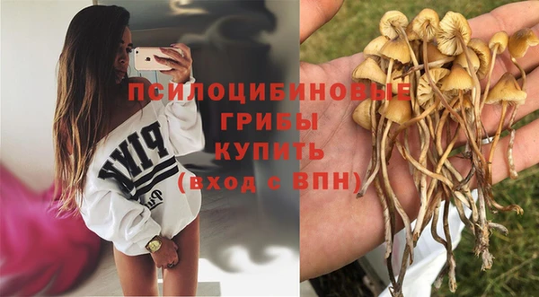 прущая мука Белокуриха