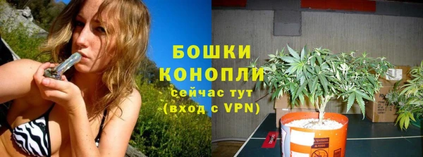 мяу мяу кристалл Богданович