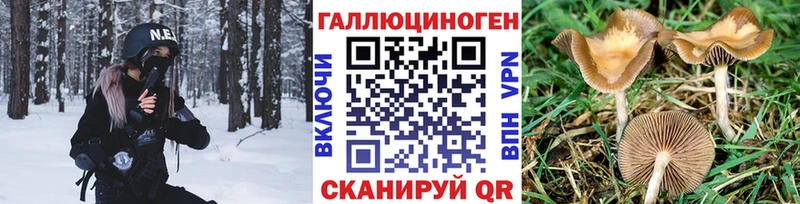 Галлюциногенные грибы GOLDEN TEACHER  Медногорск 